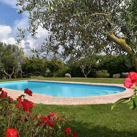 La Cavetta Country House Trevignano Romano Dış mekan fotoğraf
