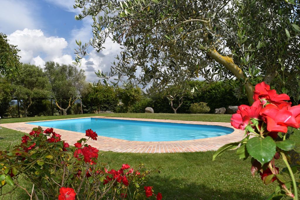 La Cavetta Country House Trevignano Romano Dış mekan fotoğraf